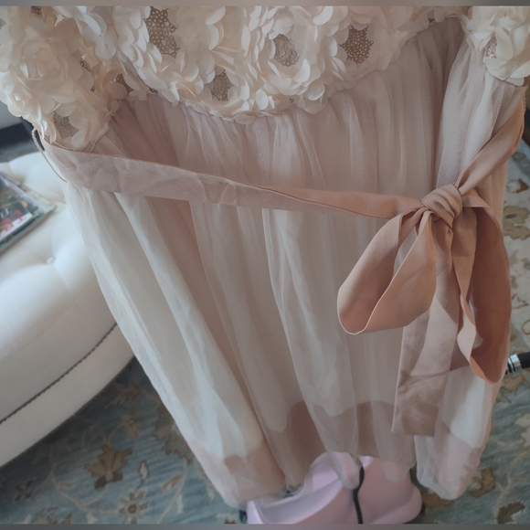 NWT A'Reve 3D Beige Pink Spring Flower Dress - size Large - Picture 6 of 13